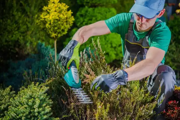 landscaping services Mio